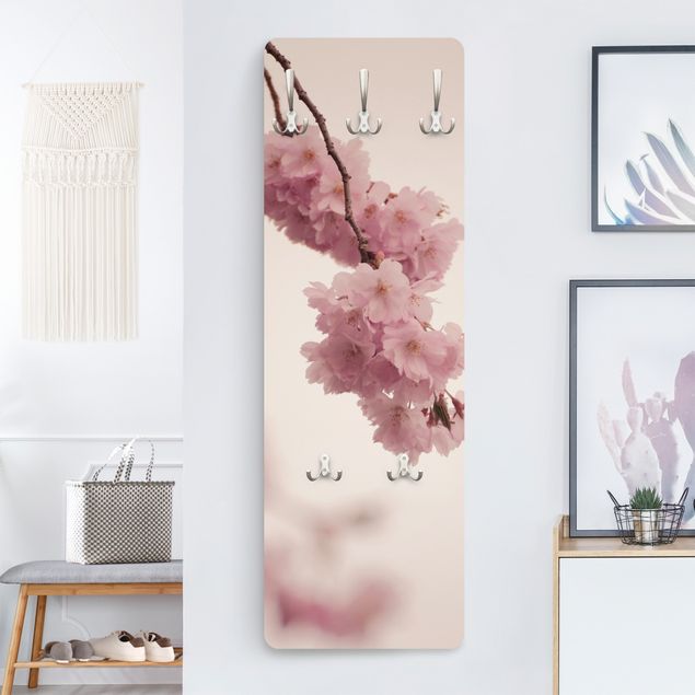 Klädhängare vägg blommor  Pale Pink Spring Flower With Bokeh