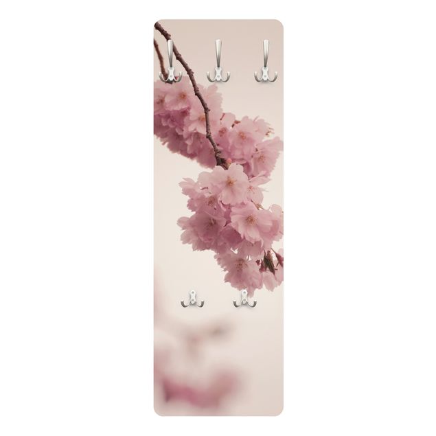 Klädhängare vägg Pale Pink Spring Flower With Bokeh