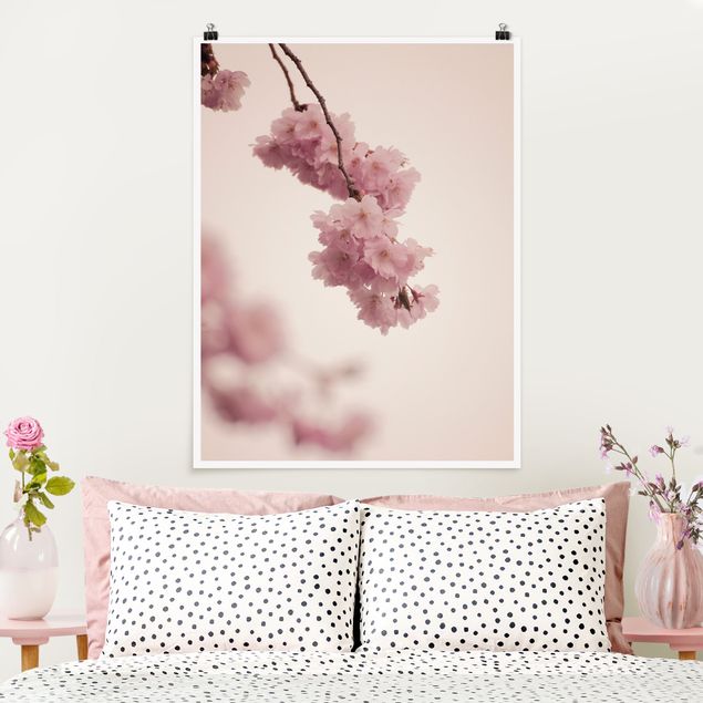 Kök dekoration Pale Pink Spring Flower With Bokeh