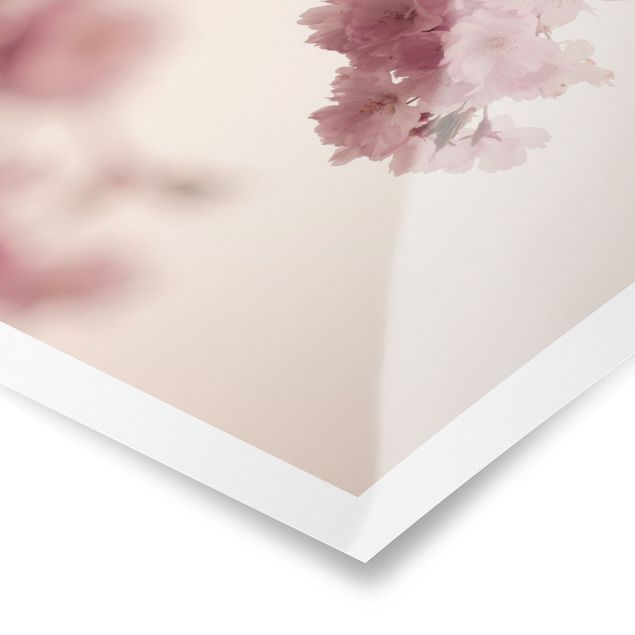 Tavlor Monika Strigel Pale Pink Spring Flower With Bokeh