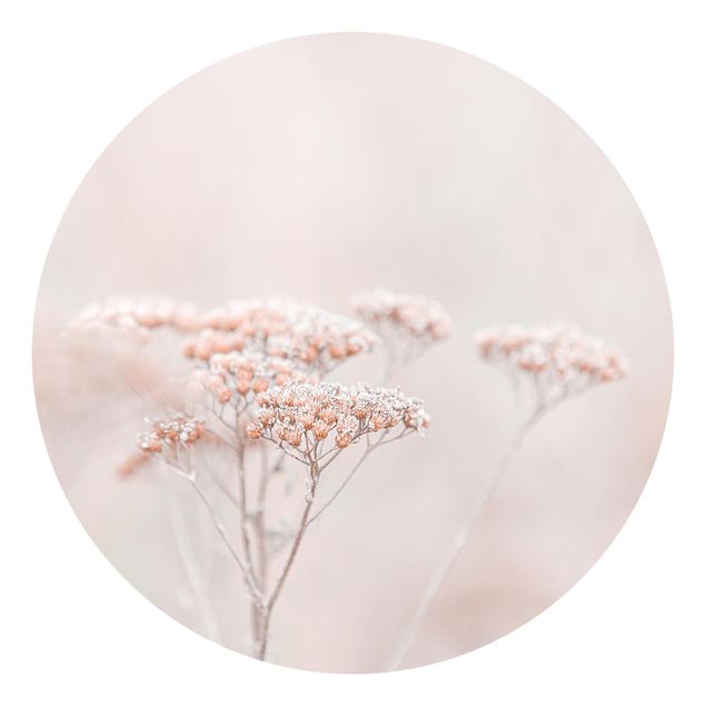 Tapeter modernt Pale Pink Wild Flowers