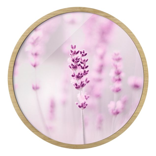 Tavlor Monika Strigel Pale Purple Lavender