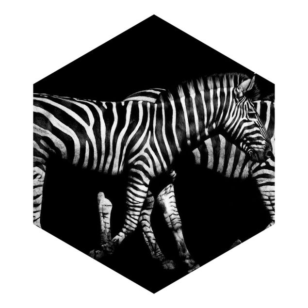 Tapeter Zebra In The Dark