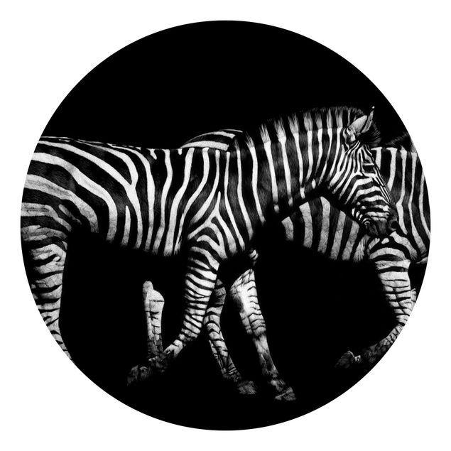 Fototapeter svart och vitt Zebra In The Dark