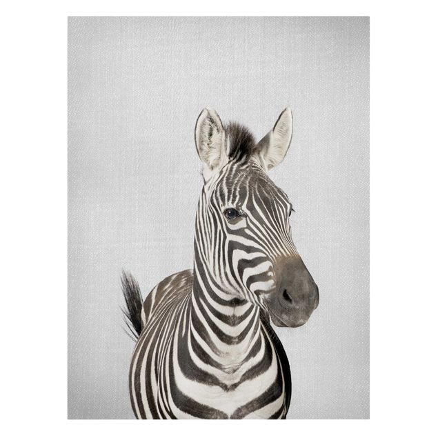 Canvastavlor djur Zebra Zilla