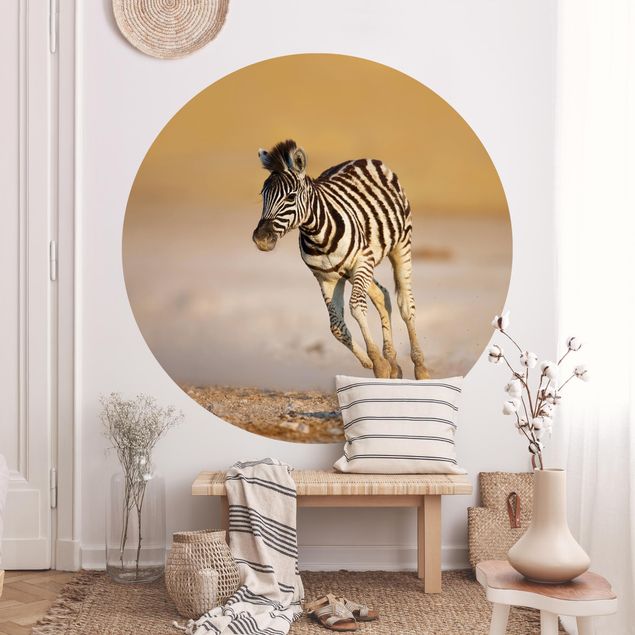Kök dekoration Zebra Foal