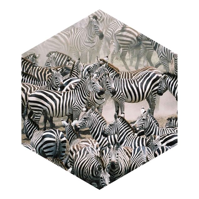 Hexagonala tapeter Zebra Herd