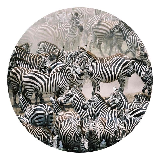 Tapeter modernt Zebra Herd