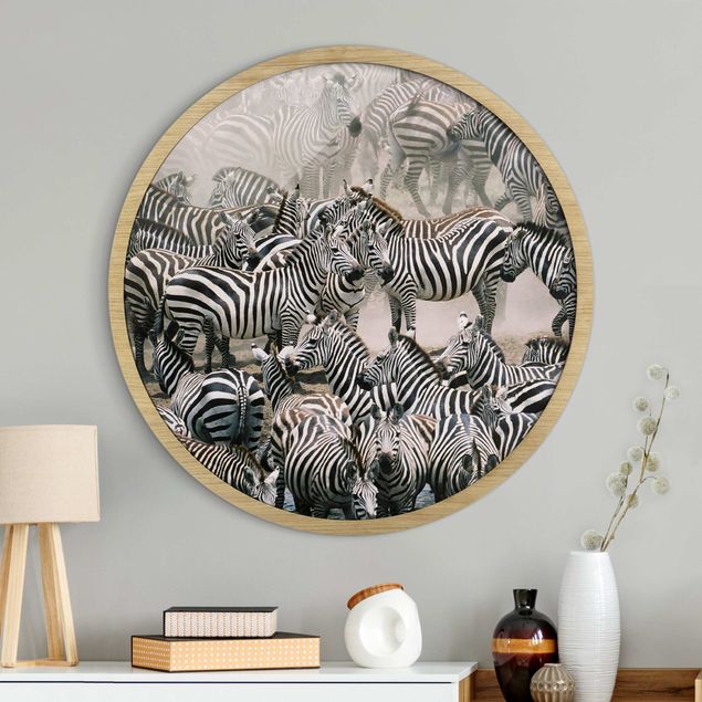 Tavlor med ram svart och vitt Zebra Herd