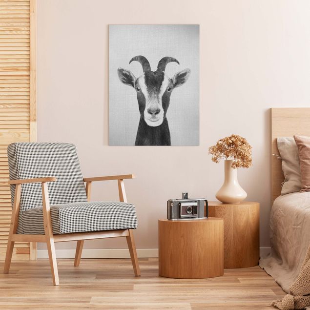 Canvastavlor djur Goat Zora Black And White