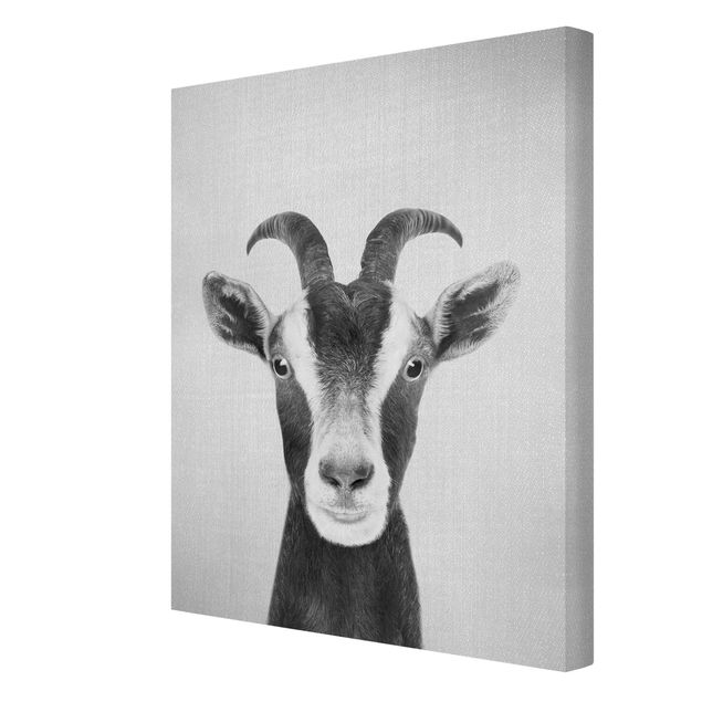 Tavlor Gal Design Goat Zora Black And White