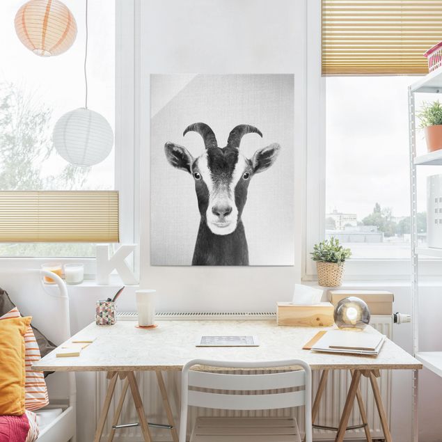 Glastavlor djur Goat Zora Black And White