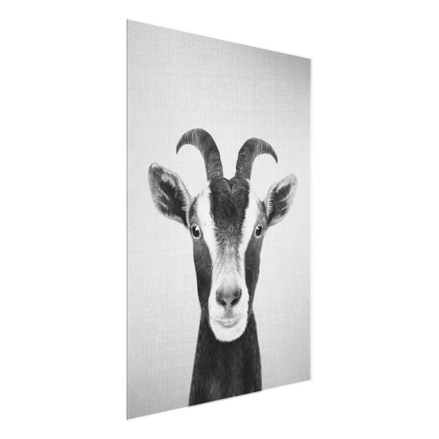 Tavlor modernt Goat Zora Black And White