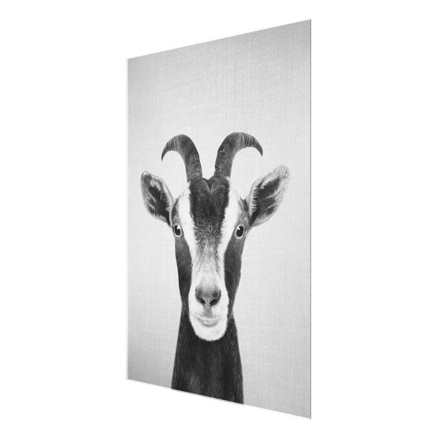 Tavlor Gal Design Goat Zora Black And White