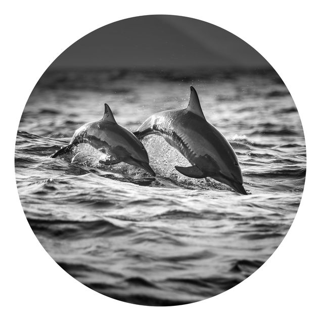 Fototapeter svart och vitt Two Jumping Dolphins
